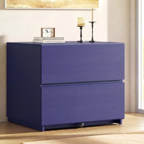 2 Drawer Lateral File Cabinet  - مراجعة File Cabinet Lateral وسعره