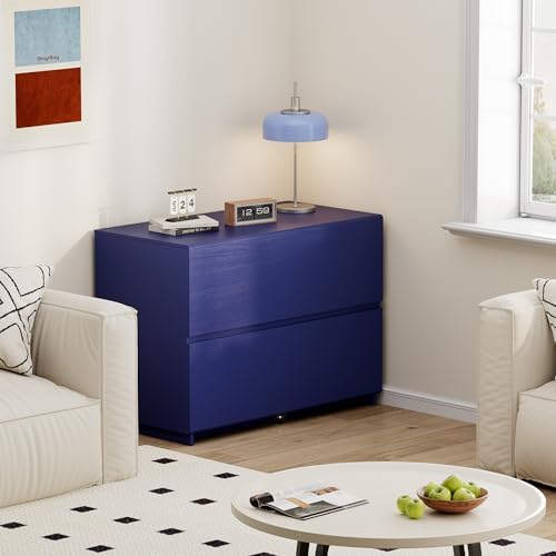 2 Drawer Lateral File Cabinet  - مراجعة File Cabinet Lateral وسعره