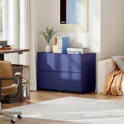 2 Drawer Lateral File Cabinet  - مراجعة File Cabinet Lateral وسعره