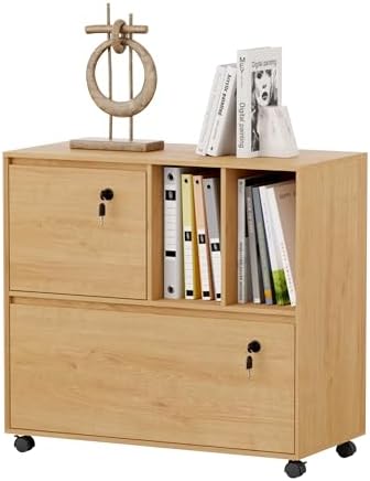 2 Drawer Mobile File Cabinet w - مراجعة File Cabinet Lateral وسعره