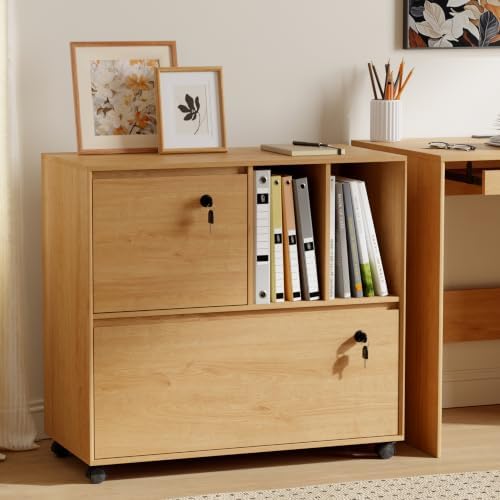 2 Drawer Mobile File Cabinet w - مراجعة File Cabinet Lateral وسعره
