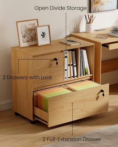 2 Drawer Mobile File Cabinet w - مراجعة File Cabinet Lateral وسعره